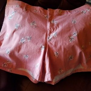 Adorable Like New Lane Byant Shorts